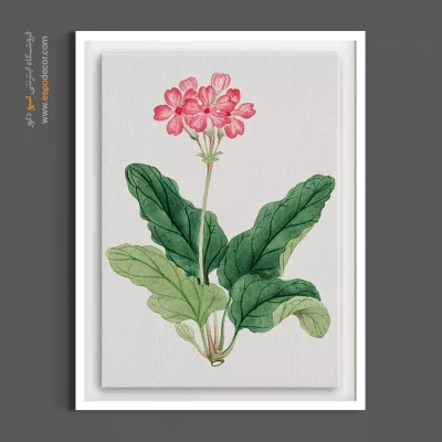 قیمت تابلو بوم - گل پامچال صورتی – تابلو گل - اسپو دکور