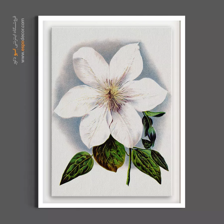 هنر دیواری فاخر - کلماتیس سفید – تابلو گل - اسپو دکور