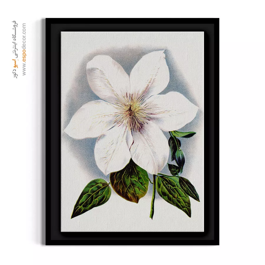 هنر دیواری فاخر - کلماتیس سفید – تابلو گل - اسپو دکور