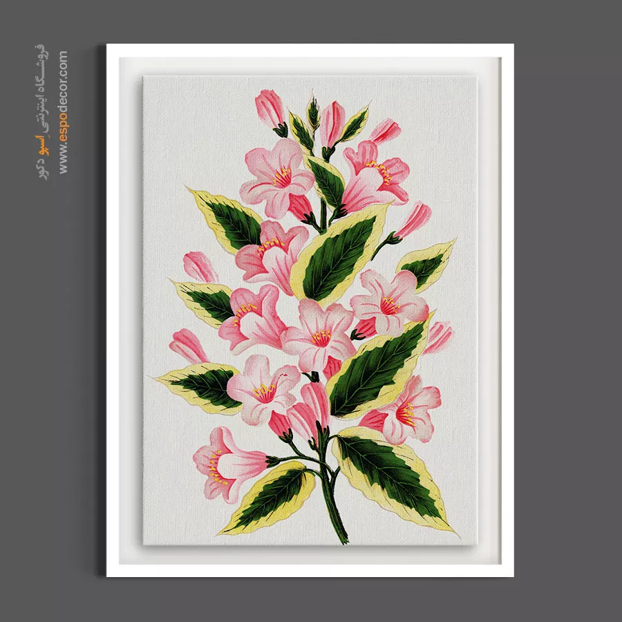 نقاشی کلاسیک گل - گل وایگلا صورتی – تابلو گل - اسپو دکور