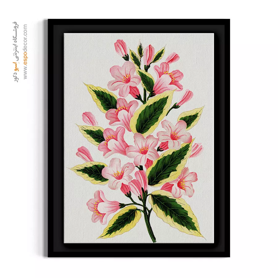 نقاشی کلاسیک گل - گل وایگلا صورتی – تابلو گل - اسپو دکور