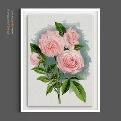 هدیه هنری رمانتیک - گل رز صورتی اثر کلوتیلد – تابلو گل - اسپو دکور