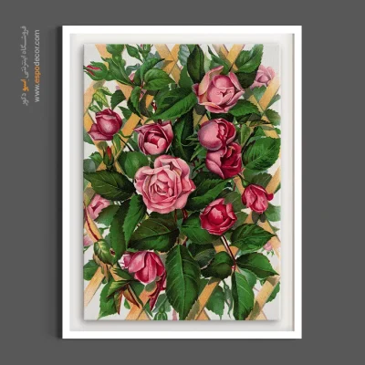 خرید تابلو دیواری کلاسیک - رزهای صورتی پرچین – تابلو گل - اسپو دکور