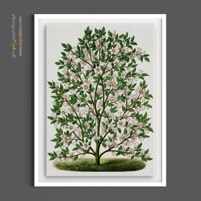 قیمت تابلو دکوراتیو لوکس - درخت مگنولیا هاردی – تابلو گل - اسپو دکور