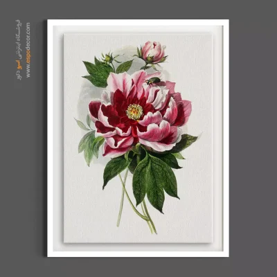 تابلو گیاه‌شناسی نوستالژیک - گل پنی – تابلو گل - اسپو دکور