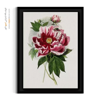 تابلو گیاه‌شناسی نوستالژیک - گل پنی – تابلو گل - اسپو دکور