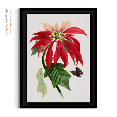 هنر دیواری جسورانه - پوینستیا – تابلو گل - اسپو دکور