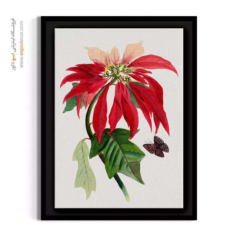 هنر دیواری جسورانه - پوینستیا – تابلو گل - اسپو دکور