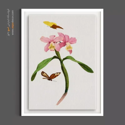 دکوراسیون اتاق خواب دخترانه - ارکیده‌های کاتلیا – تابلو گل - اسپو دکور