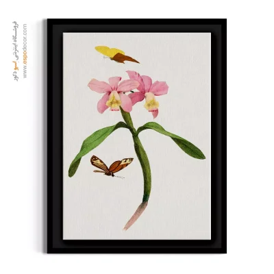 دکوراسیون اتاق خواب دخترانه - ارکیده‌های کاتلیا – تابلو گل - اسپو دکور