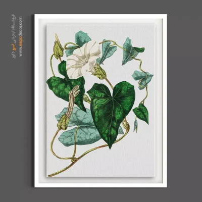 تابلو با گل‌های ریز - نیلوفر سفید و پیچک – تابلو گل - اسپو دکور