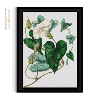 تابلو با گل‌های ریز - نیلوفر سفید و پیچک – تابلو گل - اسپو دکور