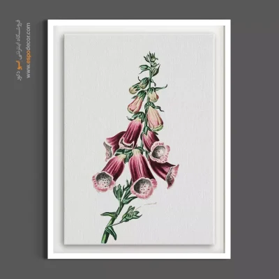 تابلو بوم صورتی و بنفش - گل دیجیتالیس – تابلو گل - اسپو دکور