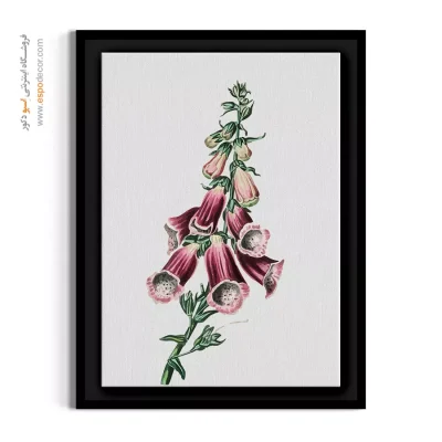 تابلو بوم صورتی و بنفش - گل دیجیتالیس – تابلو گل - اسپو دکور