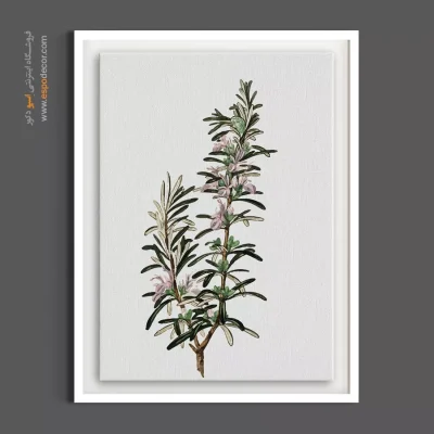 دکوراسیون آشپزخانه - رزماری – تابلو گل - اسپو دکور