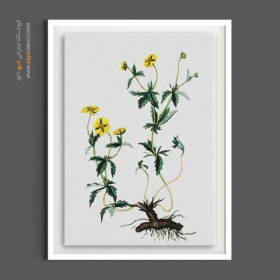 هنر دیواری مینیمال - پنجه‌برگ – تابلو گل - اسپو دکور