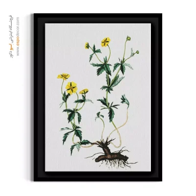 هنر دیواری مینیمال - پنجه‌برگ – تابلو گل - اسپو دکور