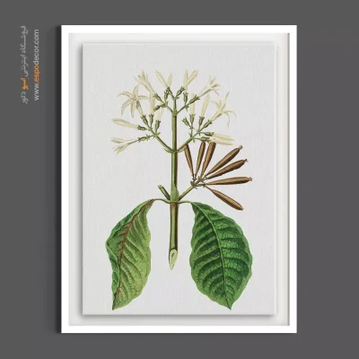 هنر دیواری آرامش‌بخش - شکوفه‌های سفید – تابلو گل - اسپو دکور