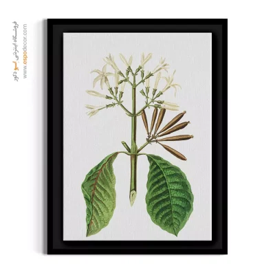 هنر دیواری آرامش‌بخش - شکوفه‌های سفید – تابلو گل - اسپو دکور