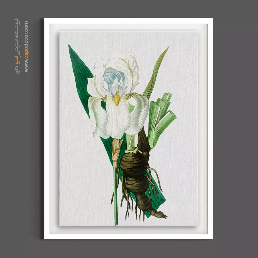 دکوراسیون روستیک - زنبق سفید – تابلو گل - اسپو دکور