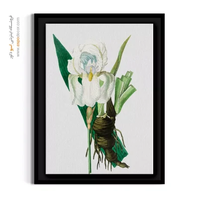 دکوراسیون روستیک - زنبق سفید – تابلو گل - اسپو دکور