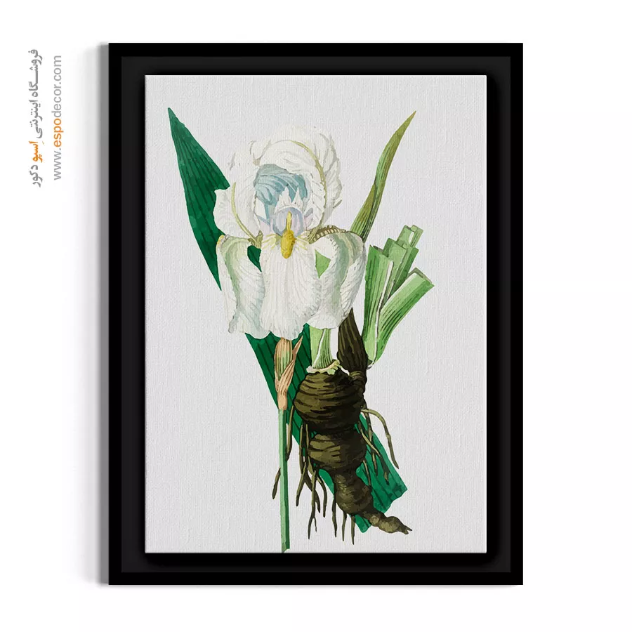 دکوراسیون روستیک - زنبق سفید – تابلو گل - اسپو دکور