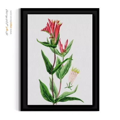 خرید تابلو مینیمال گل - اسپیگلیا – تابلو گل - اسپو دکور