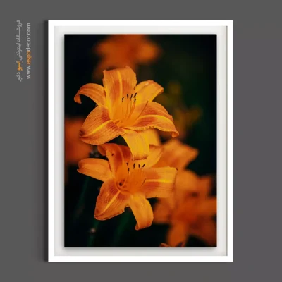 دکوراسیون مدرن پذیرایی - لیلیوم نارنجی – تابلو گل - اسپو دکور