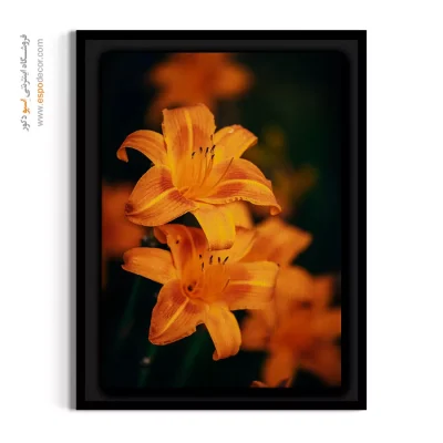 دکوراسیون مدرن پذیرایی - لیلیوم نارنجی – تابلو گل - اسپو دکور