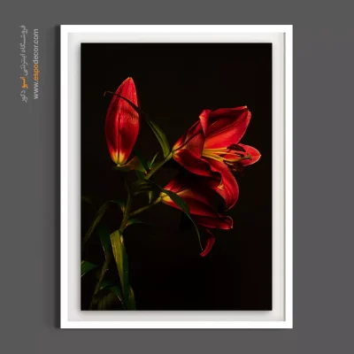 تابلو هنری پذیرایی - لیلیوم قرمز دراماتیک – تابلو گل - اسپو دکور