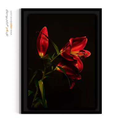 تابلو هنری پذیرایی - لیلیوم قرمز دراماتیک – تابلو گل - اسپو دکور