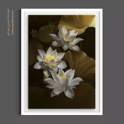 تابلو مدرن بودایی - لوتوس سفید – تابلو گل - اسپو دکور