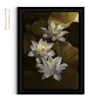 تابلو مدرن بودایی - لوتوس سفید – تابلو گل - اسپو دکور