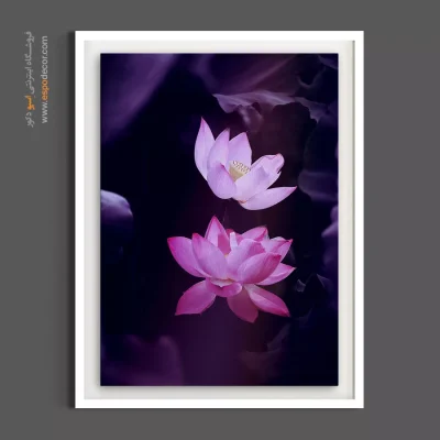 خرید تابلو مدرن گیاهی - نیلوفر آبی صورتی – تابلو گل - اسپو دکور