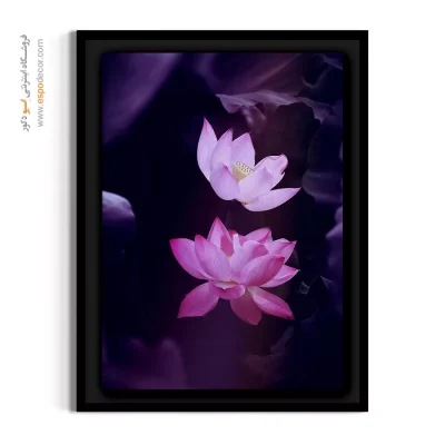خرید تابلو مدرن گیاهی - نیلوفر آبی صورتی – تابلو گل - اسپو دکور