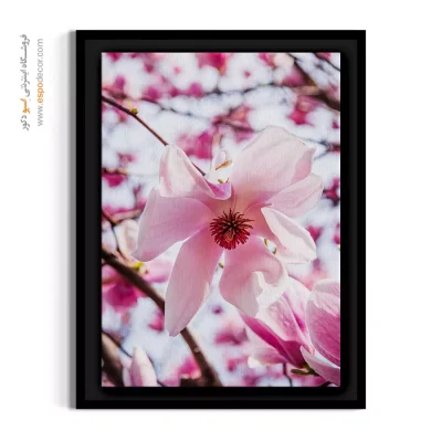 تابلو شکوفه - شکوفه مگنولیا بهاری – تابلو گل - اسپو دکور