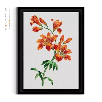 تابلو دکوراتیو روشن - لیلیوم کلاسیک – تابلو گل - اسپو دکور