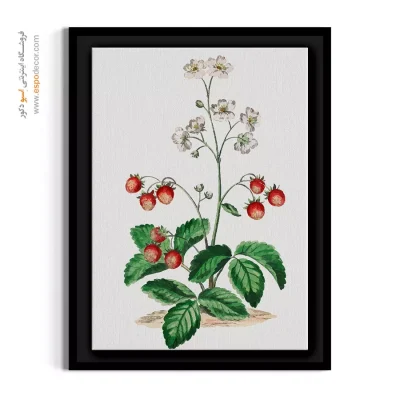 خرید تابلو توت فرنگی - توت فرنگی وحشی – تابلو گل - اسپو دکور