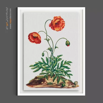 خرید تابلو سبک روستیک - شقایق وحشی – تابلو گل - اسپو دکور