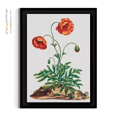 خرید تابلو سبک روستیک - شقایق وحشی – تابلو گل - اسپو دکور