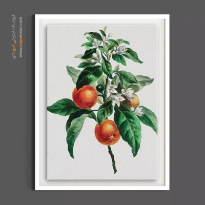 تابلو بوم آشپزخانه - شاخه پرتقال – تابلو گل - اسپو دکور