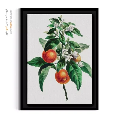 تابلو بوم آشپزخانه - شاخه پرتقال – تابلو گل - اسپو دکور