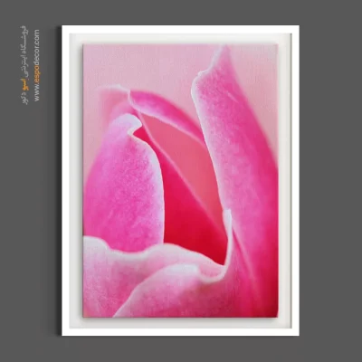 دکوراسیون اتاق خواب - گلبرگ‌های صورتی – تابلو گل - اسپو دکور