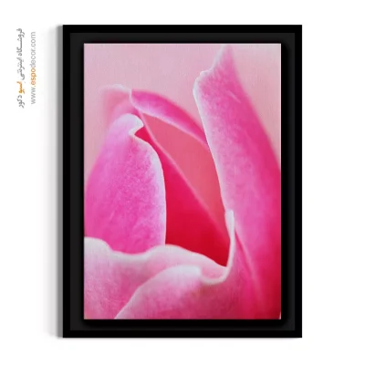 دکوراسیون اتاق خواب - گلبرگ‌های صورتی – تابلو گل - اسپو دکور