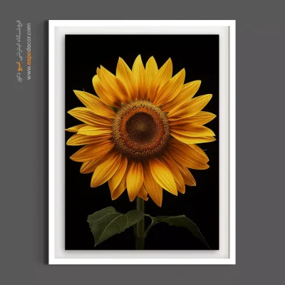 قیمت تابلو دکوراتیو مدرن - تک گل آفتابگردان – تابلو گل - اسپو دکور