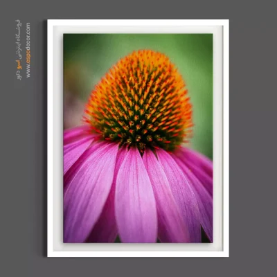 خرید آنلاین تابلو گل بنفش - سرخارگل – تابلو گل - اسپو دکور