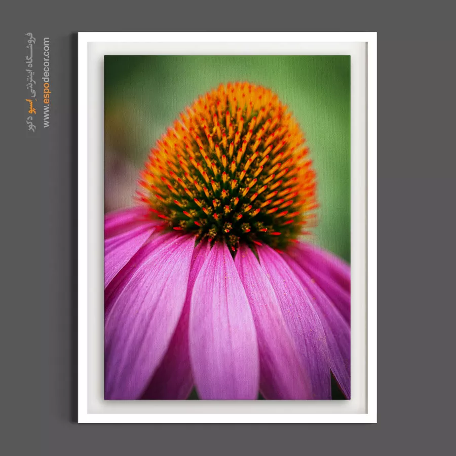 خرید آنلاین تابلو گل بنفش - سرخارگل – تابلو گل - اسپو دکور