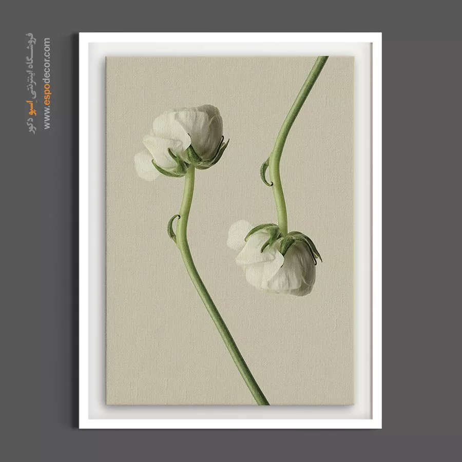 خرید تابلو گل سفید - رز مینیاتوری سفید – تابلو گل - اسپو دکور