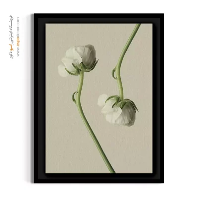 خرید تابلو گل سفید - رز مینیاتوری سفید – تابلو گل - اسپو دکور
