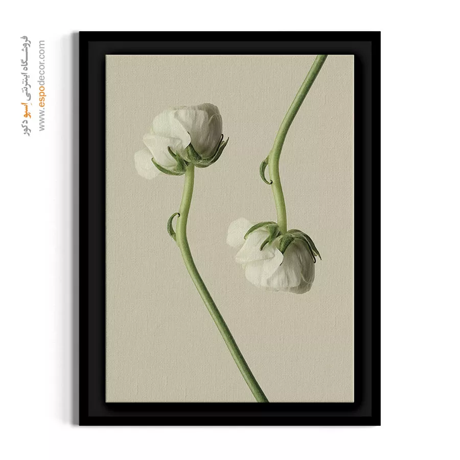 خرید تابلو گل سفید - رز مینیاتوری سفید – تابلو گل - اسپو دکور